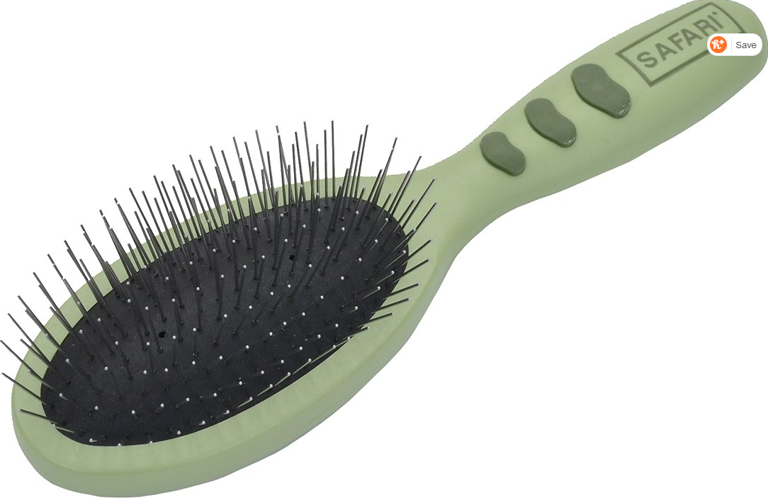 dog pinhead brush