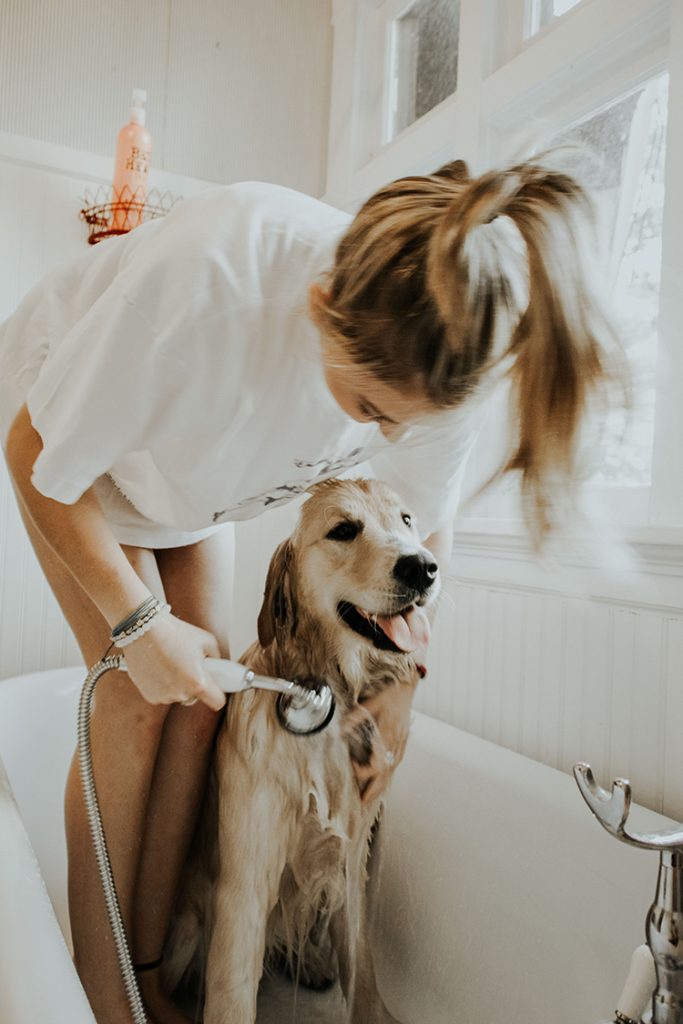 dog bathing tips