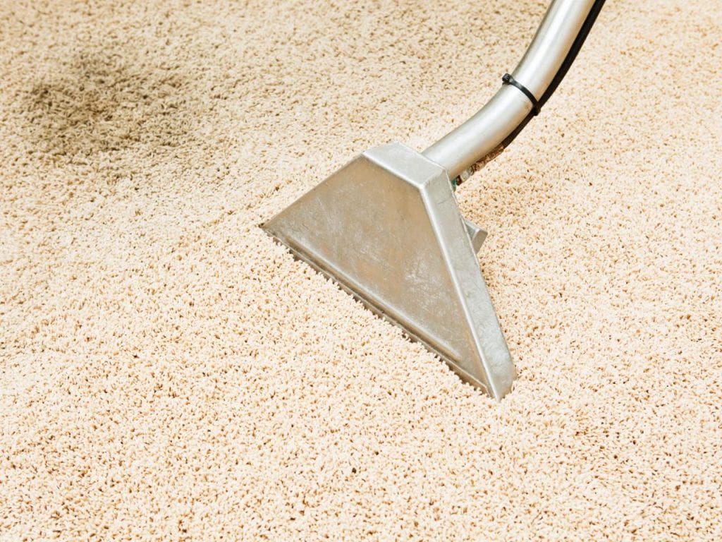 How To Clean Vomit Out Of Carpet Like A Pro Pro Housekeepers