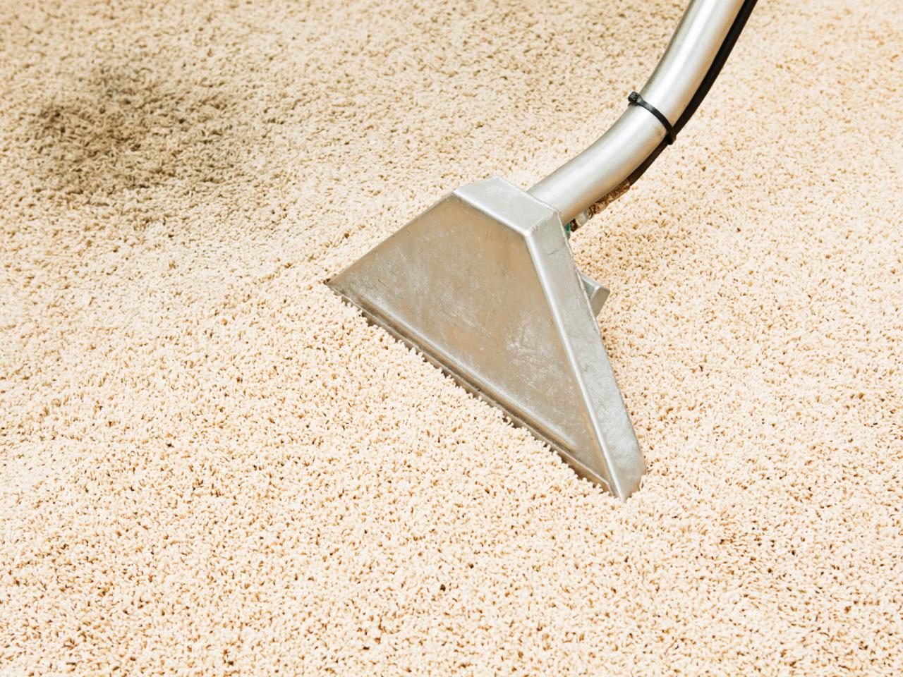 How To Clean Vomit Out Of Carpet Like A