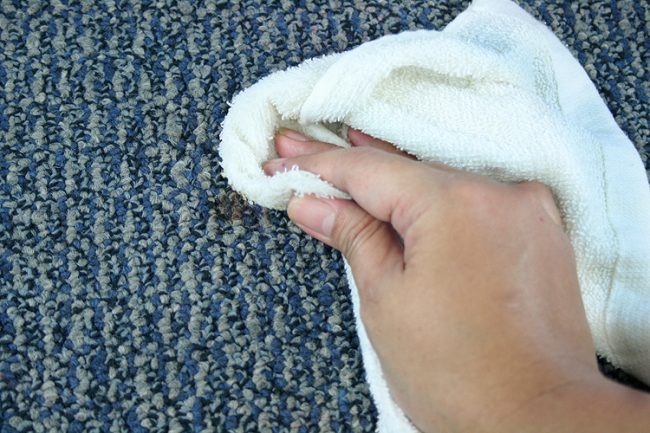damp towel carpet cleaning vomit