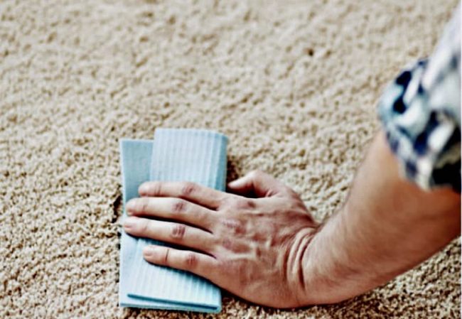 How to Clean Vomit Out of Carpet Like a Pro — Pro Housekeepers - How To Get Throw Up Smell Out Of Carpet