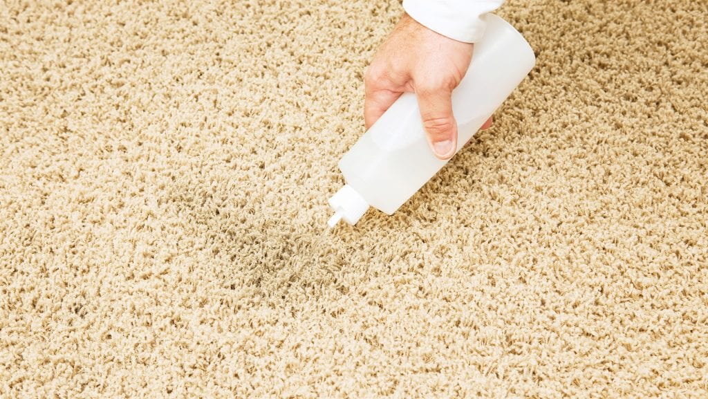 how do you get dog vomit stains out of carpet