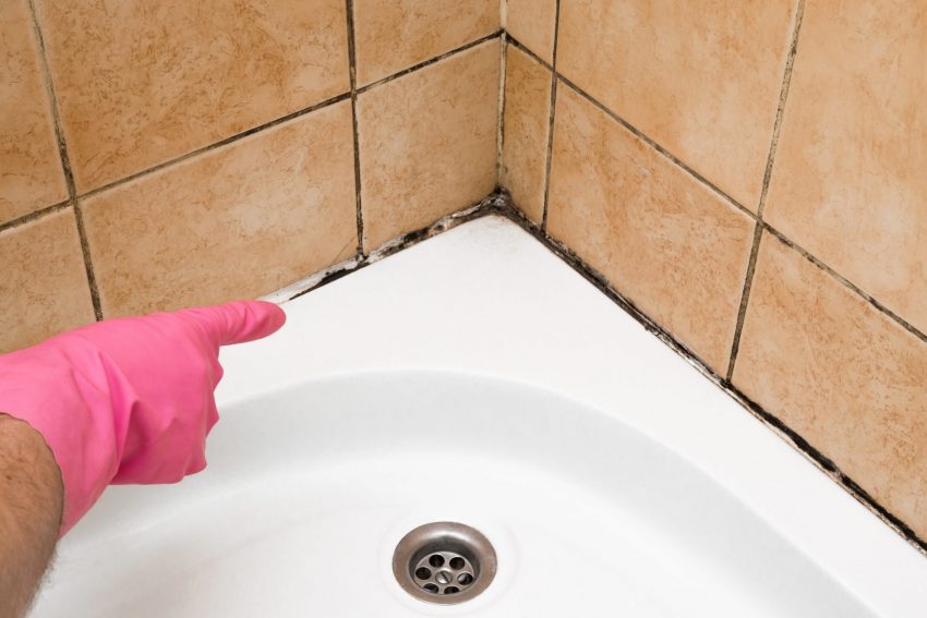 The Ultimate Guide on How To Clean and Get Rid Of Mold