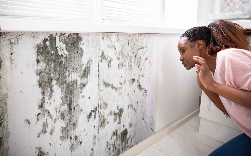 getting rid of mold off walls