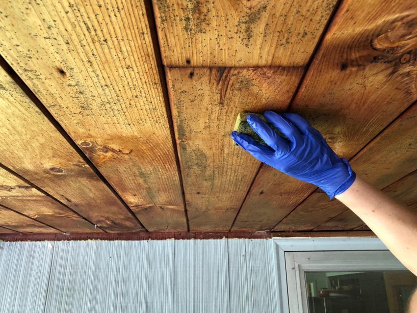 Getting rid of mold on wood