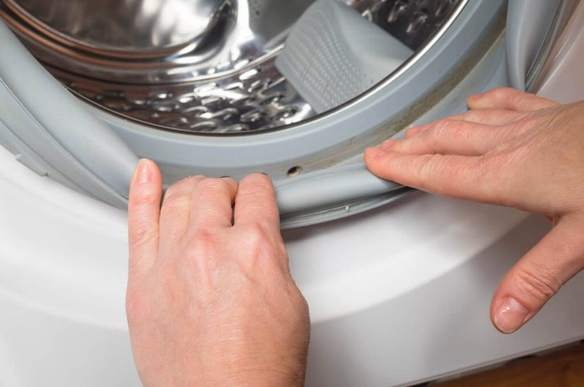 The Ultimate Guide on How To Clean and Get Rid Of Mold — Pro Housekeepers - How To Clean Mold From Front Load Washer Gasket