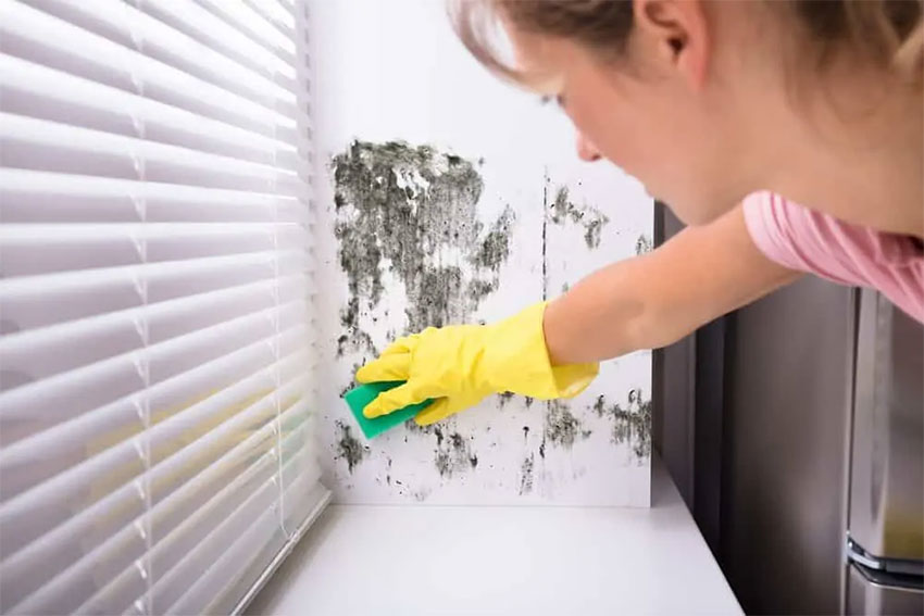 how to clean mold off walls