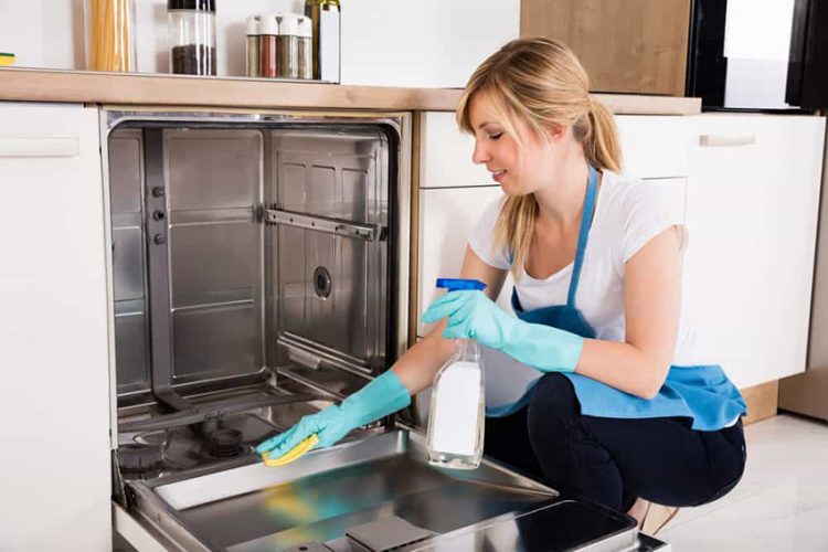 How To Clean a Smelly Dishwasher — Pro Housekeepers