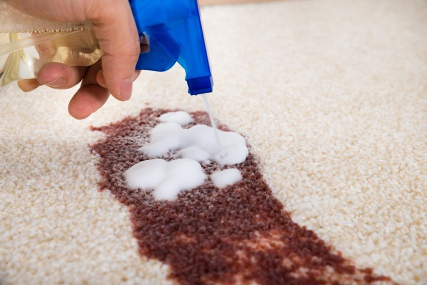 How to remove chocolate stains from carpet