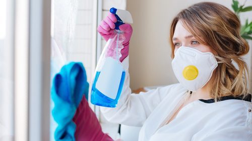 The Guide to Toxic and Non-Toxic Cleaning Products — Pro Housekeepers