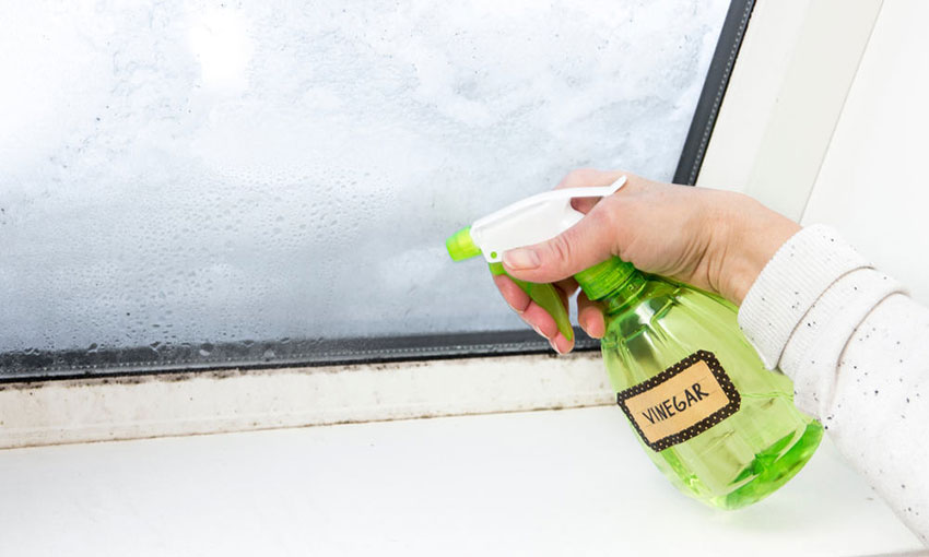 How to Clean Windows and Window Screens