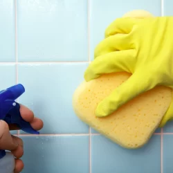how to kill pink mold