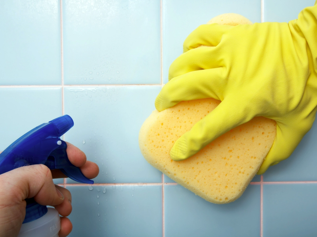 A Complete Guide To Identifying And Getting Rid Of Mold