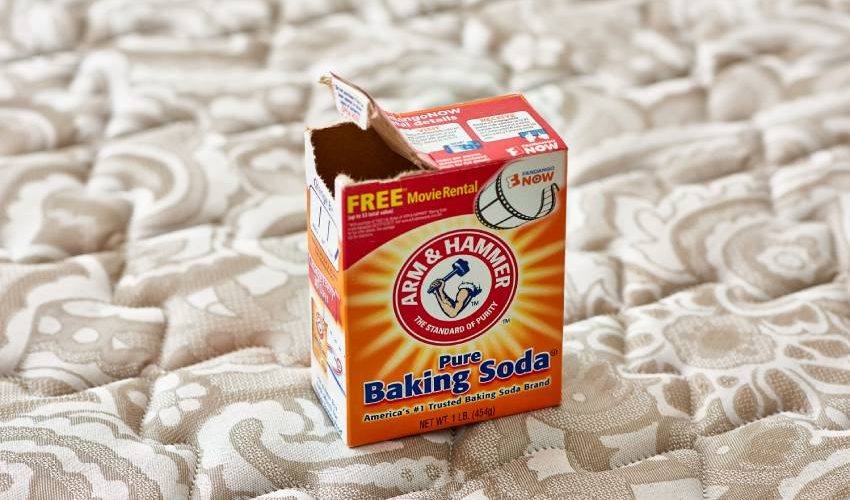 How to Clean Your Home After Being Sick Vacuuming and refreshing a mattress after illness