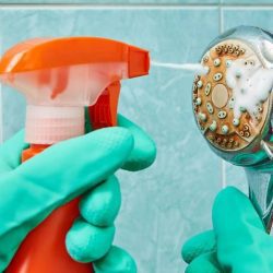 how to clean a shower head with bleach