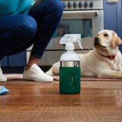 pet safe cleaners and disinfectants