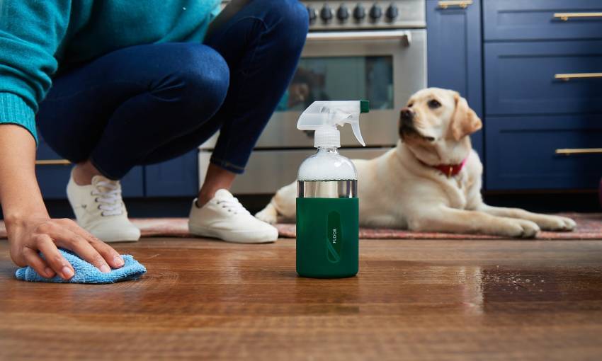 Pet Safe Cleaning Products Guide