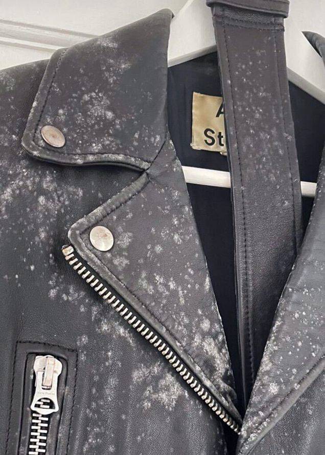 how to get rid of mold on a leather jacket