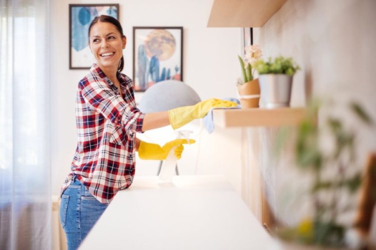 How To Get Rid of Dust Like a Pro — Pro Housekeepers