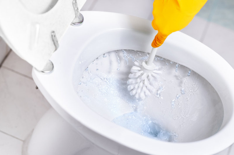 how to clean a toilet bowl