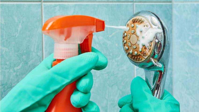 how to clean a shower head with bleach