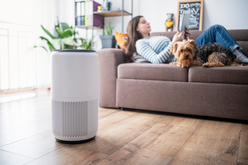 Best air purifier for shop pet odors