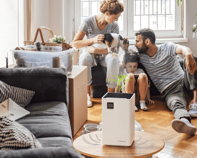 Air purifier for house deals with pets