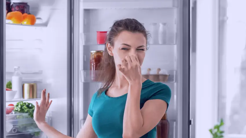 How to Get Rid of Bad Odors and Smells: A Complete Guide