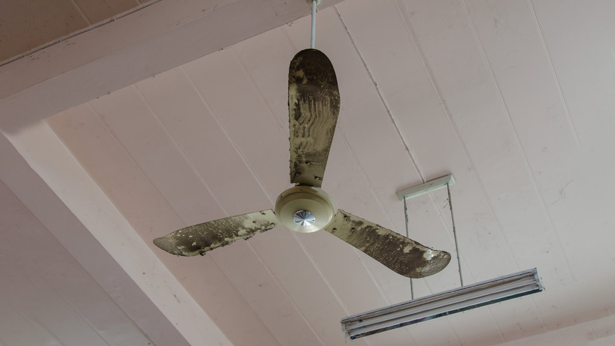 Clean Your Ceiling Fan Like a Pro