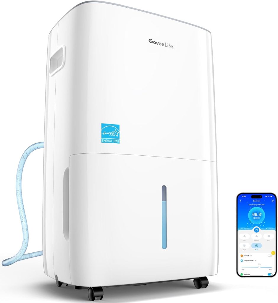The Best Dehumidifiers for Basements