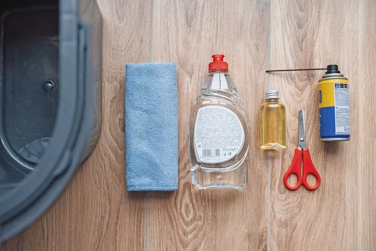 how-to-clean-a-vacuum-4788316_15-4bb1bfb25b684522a1521d05b37598b4