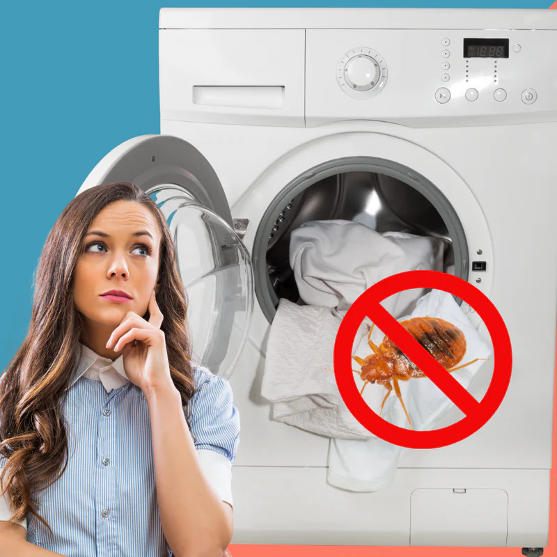 kill-bed-bugs-washer-dryer